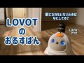 【LOVOT】お留守番中のラボットの行動がロボットとは思えなかった・・・