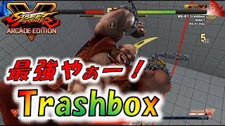 Trashbox バーディー最強やぁーー！猛者のラッシュを余裕でいなす！！Spare the rush of the brutality【ストVAE★SF5AE】