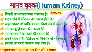 मानव किडनी से जुड़े महत्वपूर्ण प्रश्न| Important question related human kidney |