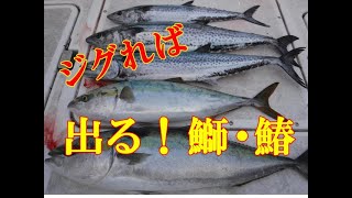 【海釣り情報】厳しくてもジグれば結果は出る