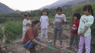 燕子和大嫂二嫂在地里做什么好吃的呢？引来那么多小朋友的围观