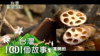 蓮藕粉製作季節 白河鎮婦女總動員 第163集 part1【台灣1001個故事】2013年