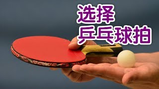 乒乓球拍如何选择?| 乒乓球教学Table Tennis Skills：Choose Table Tennis Racket