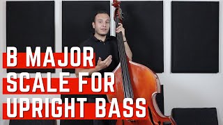 Learn the B major Scale | Upright Bass Lessons