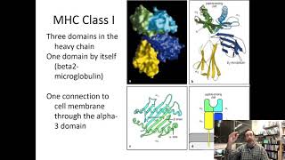 Immunogenetics of HLA KIR 1