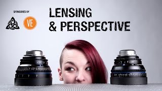 The Truth About Lenses and Perspective