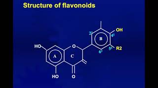 BTL 530: Bioactive Natural Products Lecture 7