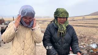 这是北大荒一家的生活，4月飘雪，江苏婆婆带东北媳妇寻找冰凌花