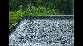 Relaxing rain music 🎶🌧️/ மழையின் இசை / கண்களை மூடி ஒருமுறை கேட்டு பாருங்கள்...