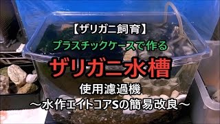 【プラスチックケースでザリガニ水槽立ち上げ①：水作エイトコアSの簡易改良～6号室の稚ザリ全16匹】Crayfish