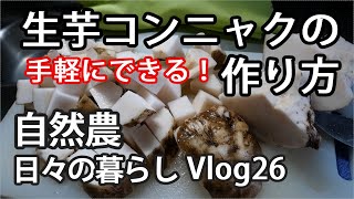 【#自然農  #日々の暮らし Vlog26】#生芋蒟蒻の作り方　蒟蒻芋栽培はとても簡単！ 気軽に作ろう　#愛猫くん登場