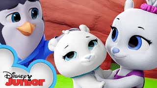 Oh Polar Brother Where Art Thou? 🐻 | National Polar Bear Day | T.O.T.S. | Disney Junior