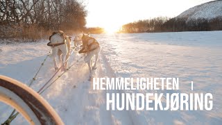 Landsdekkende hundekjøringslinje i Tana (20sec)