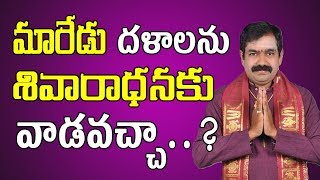 మారేడు దళాలను శివారాధనకు వాడవచ్చా..? | Maredu Dalam In Shiva Pooja | Shivaradhana | Pooja TV Telugu