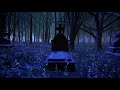 dark forest video footage dark forest strange animation video 4k video hd