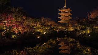 【WEB動画】2019年 盛秋「東寺」篇 そうだ 京都、行こう。