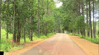 kirirom resort 2022 | driving tour in Kirirom resort