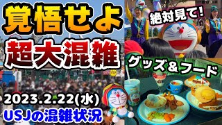 【USJ平日なのに恐怖の激混み‼︎】人だらけでまともに歩けない‼︎ドラえもんがやってきた‼︎グッズ紹介\u0026レストランフード早速レビュー♪2023年2月22日水曜日、ユニバーサルスタジオジャパンの混雑状況