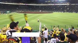 ラジオプロ野球中継のオープニングテーマまとめ　2024年版