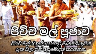 වාර්ෂික පිච්ච මල් පූජාව  මෙවර 27 ජූලි 2024 දින සිදුකරන ලදී🙏/pichchamal pujawa.