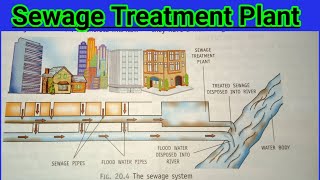 Wastewater Management | Sewage treatment plant | Wastewater treatment plant | Class 7 science