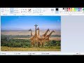 Create a simple slideshow using JavaScript code