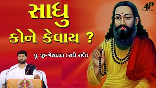 સાધુ કોને કહેવાય ? || Who is called a monk ? || AP Gujarati Studio