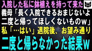 【スカッとする話】入院した私に菊の鉢植えを持って来た義母「長く入院できるおまじないよ！あんたには二度と帰って来てほしくないからｗ」私「…はい」退院後、本当に二度と帰らなかった結果ｗ【修羅場】