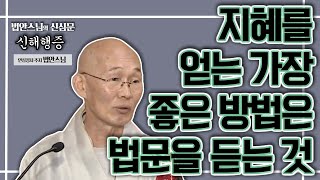 지혜를 얻고 싶다면 법문을 자주 들어라 [법안스님의 신심문 신해행증 23회]