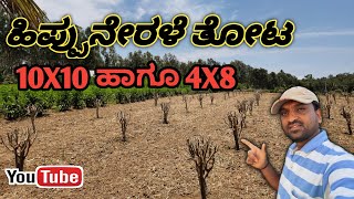 ರೇಷ್ಮೆ ಕೃಷಿ || ಹಿಪ್ಪುನೇರಳೆ ತೋಟ 10X10 ಹಾಗೂ 4X8 Mulberry Garden #saifokh#ರೇಷ್ಮೆ