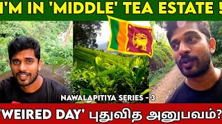 தேயிலை தோட்டத்தில் ஒருநாள் | Srilanka tea estate | tea cottage | Srilanka | Tamil vlog | Loji flix