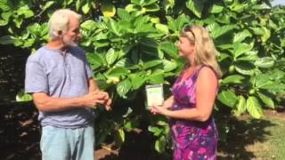 Noni Fruit Farm and Kitchen Chat