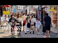 4k hdr japan travel | Walk in Harajuku（原宿）Tokyo japan |  Relaxing Natural City ambience