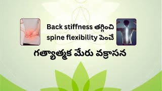 Back stiffness తగ్గించి spine flexibilityపెంచే గత్యాత్మక మేరు వక్రాసన || Benefits \u0026 Limitations .