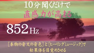 【10分聞くだけで直感力を覚醒させる】【ソルフェジオ周波数 852Hz】【音叉の音色】松果体を活発にする852Hz｜観察力がアップする｜ヒーリングミュージック入り