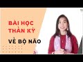 Bài Học Thần Kỳ Về Bộ Não | 24 bài học thần kỳ của thế giới