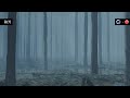 How to Create a Foggy Forest in Cinema 4D and Redshift