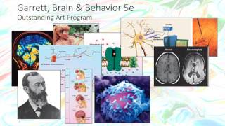 Prework Module 2 BioPsych Behavioral Neuroscience Lab