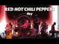 Red Hot Chili Peppers - Hey, Band Jam - Darien Lake, NY 7/12/2024