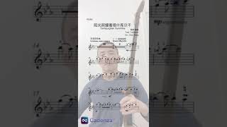 【韶琴】阳光照耀在塔什库尔干(1)