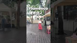 佛朗明哥💃~清秀佳人(興大農夫市集)