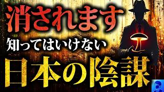 【タブーに迫る】松茸陰謀論！なぜ日本の松茸は高い？