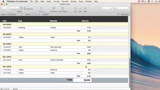 Filemaker Pro - Sub Summary Report