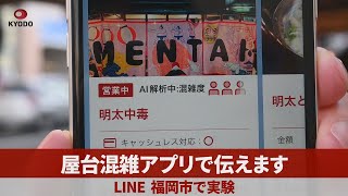 屋台混雑アプリで伝えます LINE、福岡市で実験