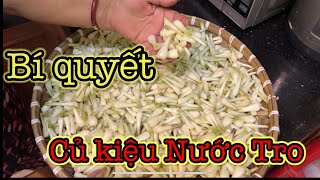 Bí Quyết Ngâm Củ Kiệu Nước Tro - Trắng Giòn, Để Lâu Không Hư | Chuẩn Bị Tết Cổ Truyền