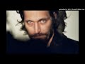 vincent gallo no regard