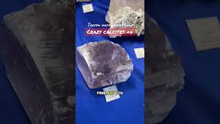 Calcites, Selenite, and more (#tucsongemshow #crystalconcentrics)