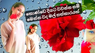 දිගුවන් ශක්තිමත් කෙස් කලඹකට විශ්මිත වද මල් සත්කාරයක්🌺 #hibiscushairoil #hibiscushairmask #hairgrowth