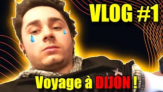 Voyage à DIJON ! Je me fais ... (VLOG #1)