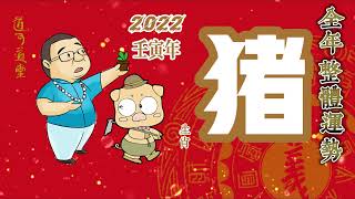 【生肖豬】2022虎年/生肖運勢/壬寅年/全年運勢分析